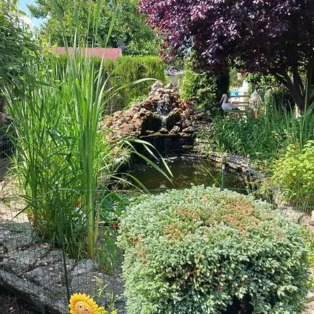 Apartment Garden Sokolovo Balchik